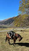 veroni22ka Altpins Profile Picture