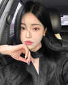 daxbin Altpins Profile Picture