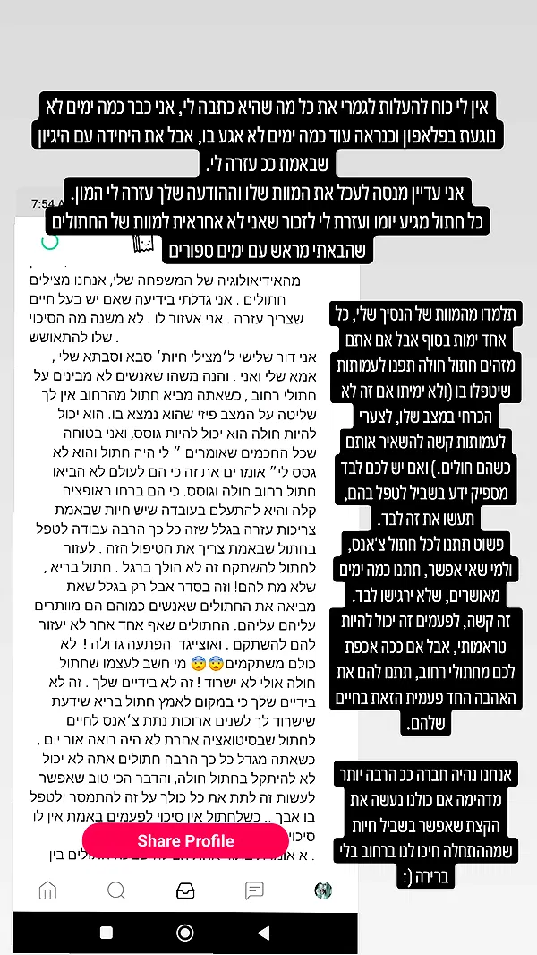 moonyyyya moonyyyya archive image