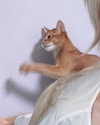 auddk_77 Altpins Profile Picture