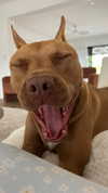 olivia.mathers Altpins Profile Picture