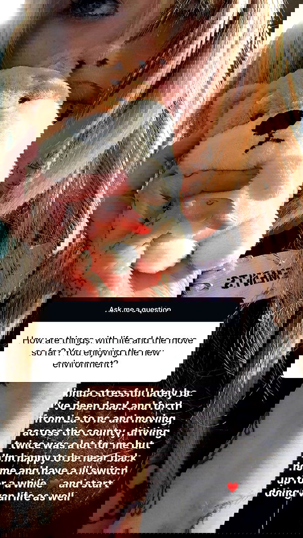 zommmbri zommmbri archive image