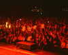 cannonstheband Altpins Profile Picture