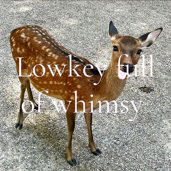 1uvgabi instagram image archive image