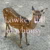1uvgabi Altpins Profile Picture