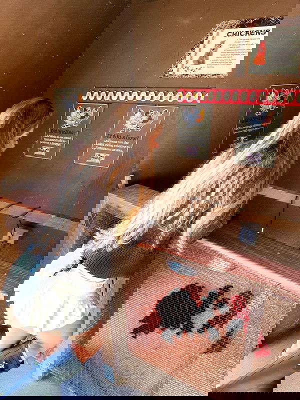 carolinezalog carolinezalog archive image