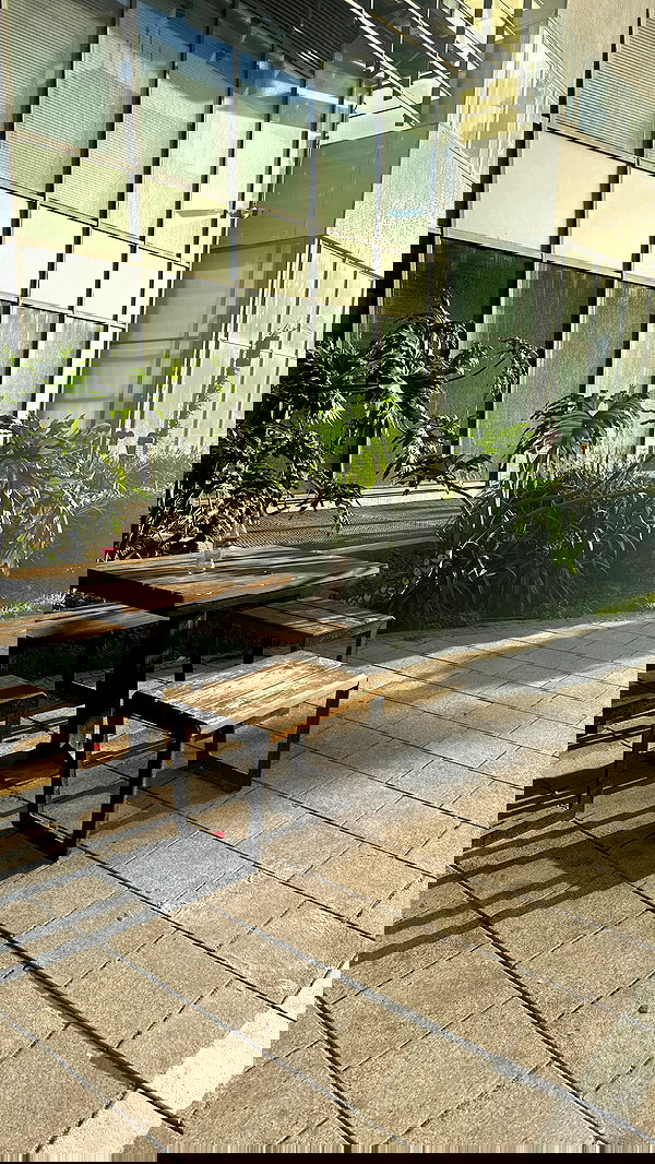 orchidmurmur orchidmurmur archive image