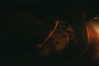 milena_milachich Altpins Profile Picture