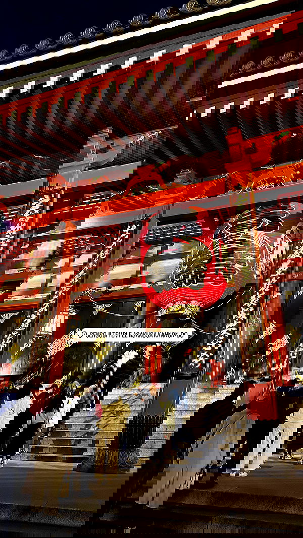 taylor.creeden taylor.creeden archive image