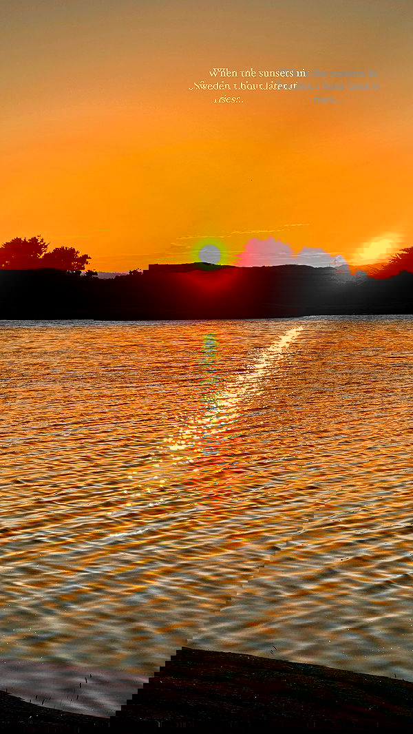 taylor.creeden taylor.creeden archive image