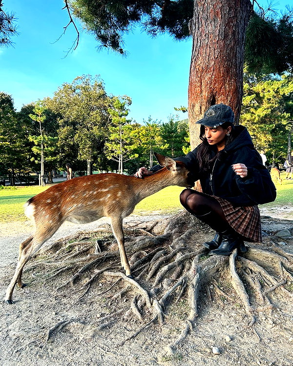 sabiyo instagram image archive image