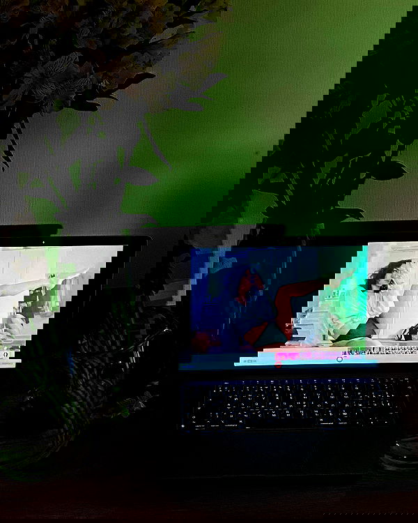 kkulakovaa image ~ Altpins