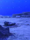 zuhazana Altpins Profile Picture
