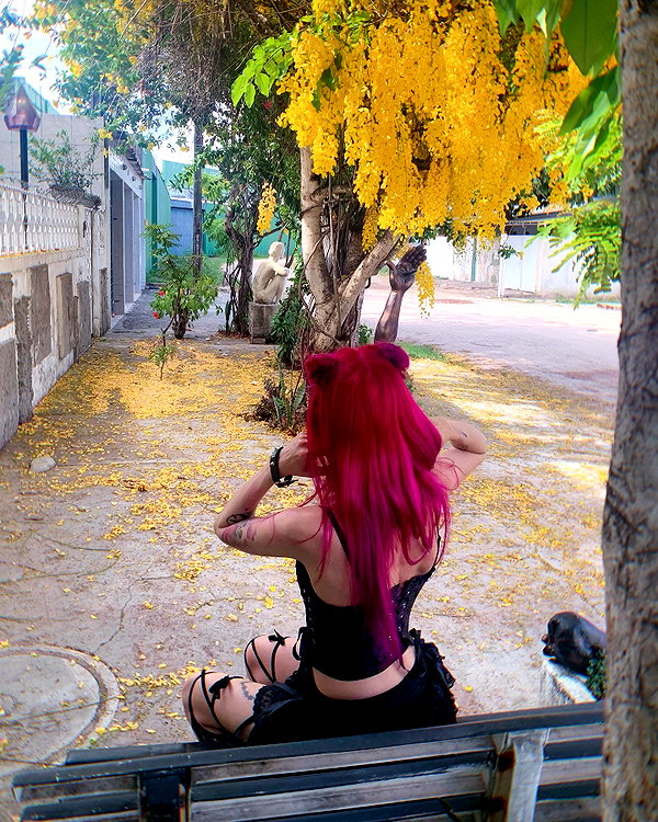 jadelaverne instagram image archive image
