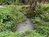 cialikechia Altpins Profile Picture