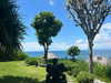 daisy_r_19 Altpins Profile Picture