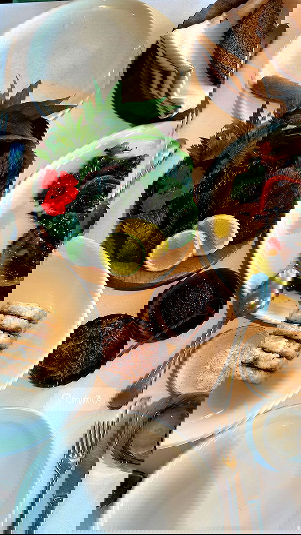 taylor.creeden taylor.creeden archive image