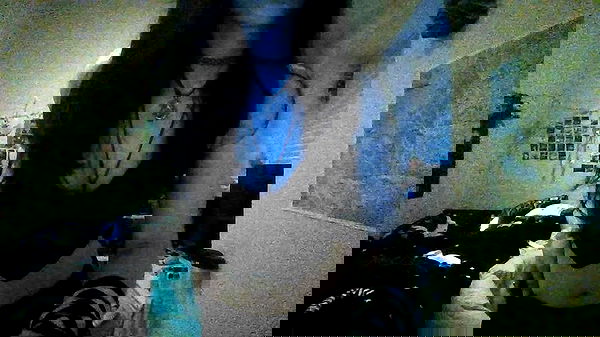 xombunni image ~ Altpins