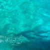 martinagiiuliani Altpins Profile Picture