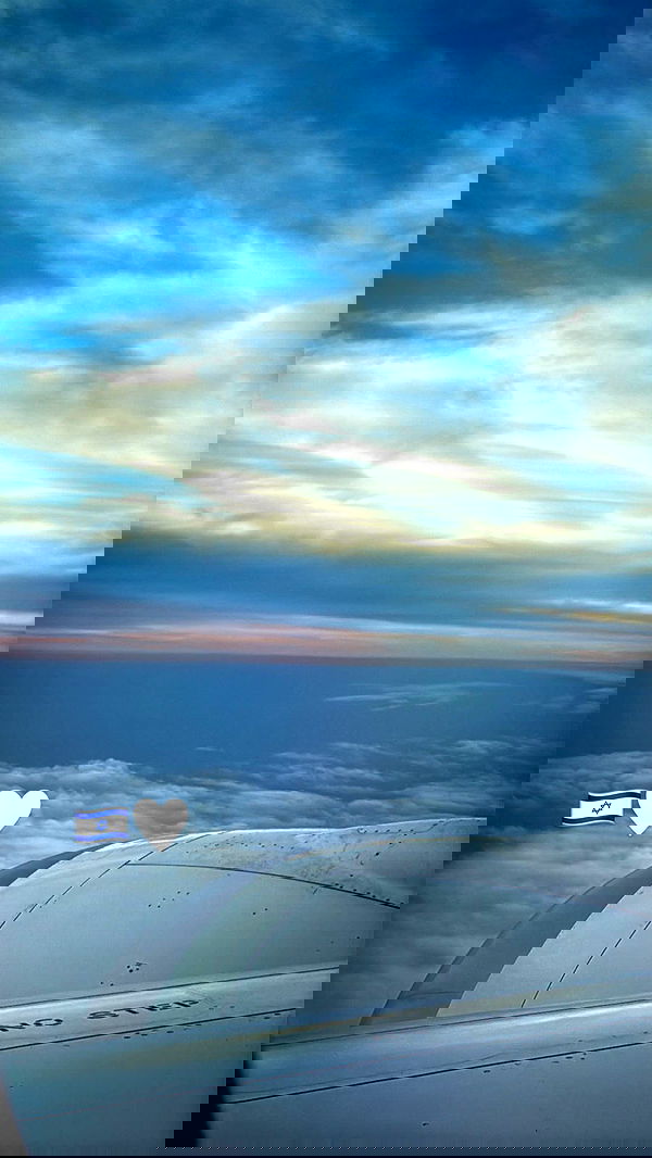 biton__adi biton__adi archive image