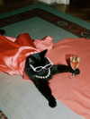 777pb_ Altpins Profile Picture