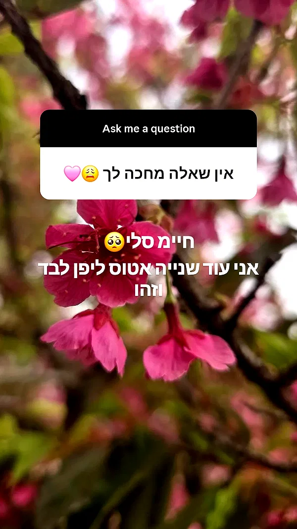 ida.trbl instagram image archive image
