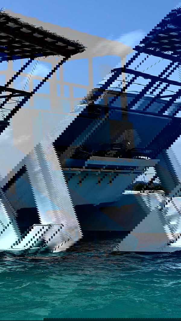 svgarbvnnies svgarbvnnies archive image