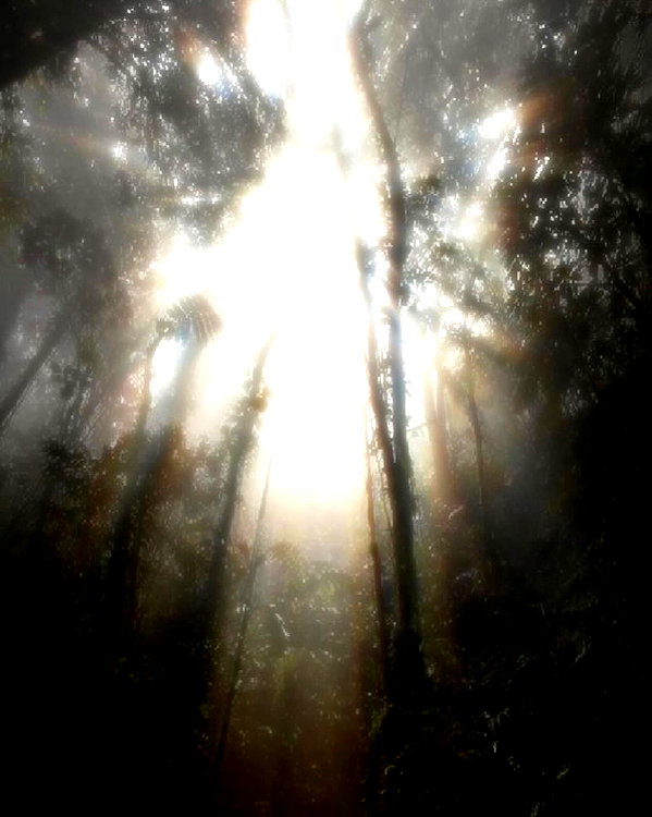 imnotsevven instagram image archive image