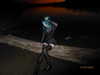 cyber.st4rz Altpins Profile Picture