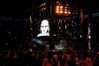 adele Altpins Profile Picture