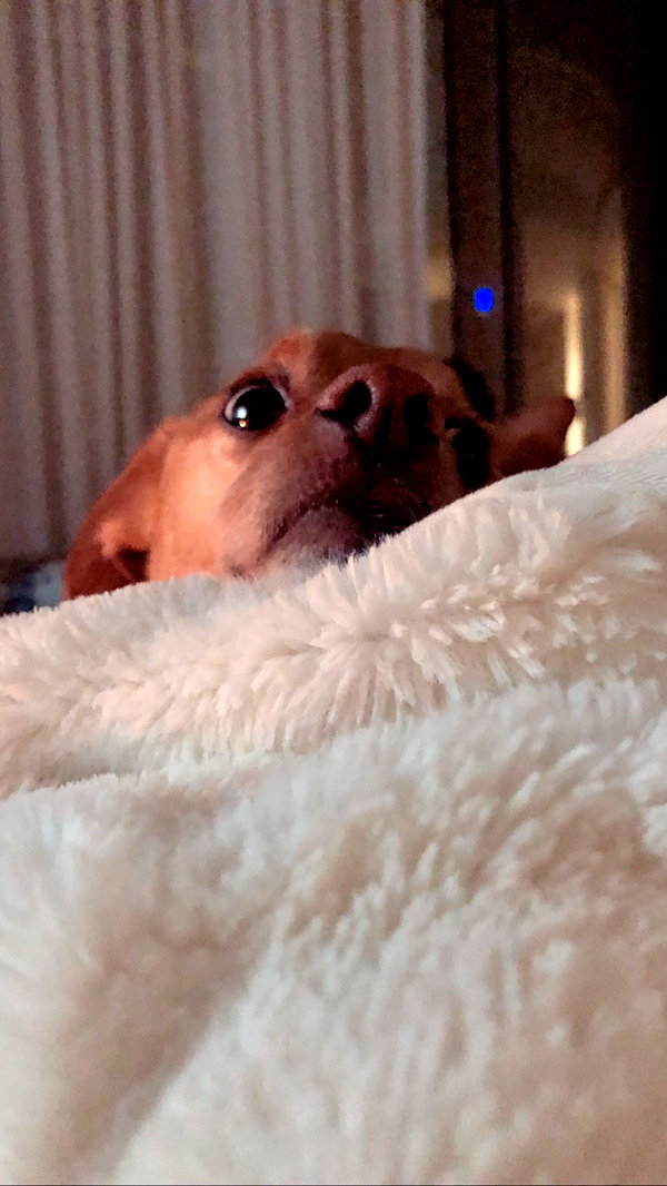 arianagrande instagram image archive image