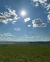 indra0102_ Altpins Profile Picture