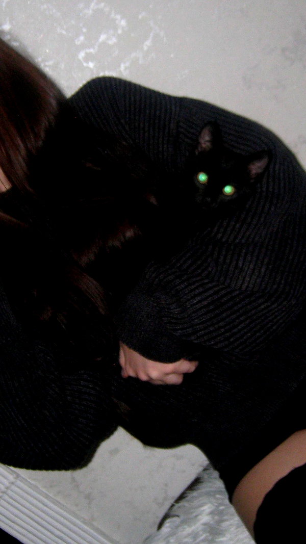 meiiisame archive image