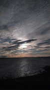 josefinaaa_f Altpins Profile Picture