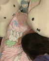 gisellelee8 Altpins Profile Picture