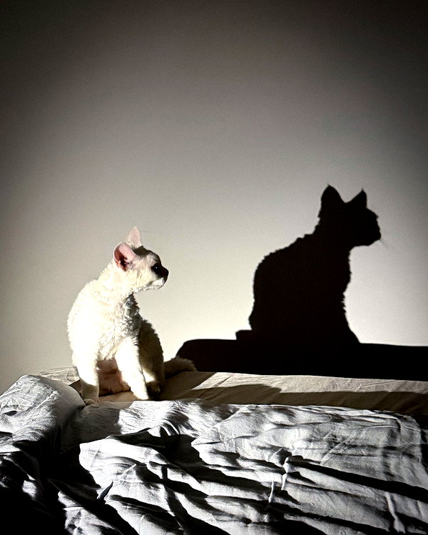 tayavii instagram image archive image