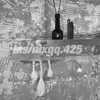 nixqq.425_ Altpins Profile Picture