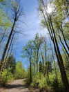 machine_mommy Altpins Profile Picture