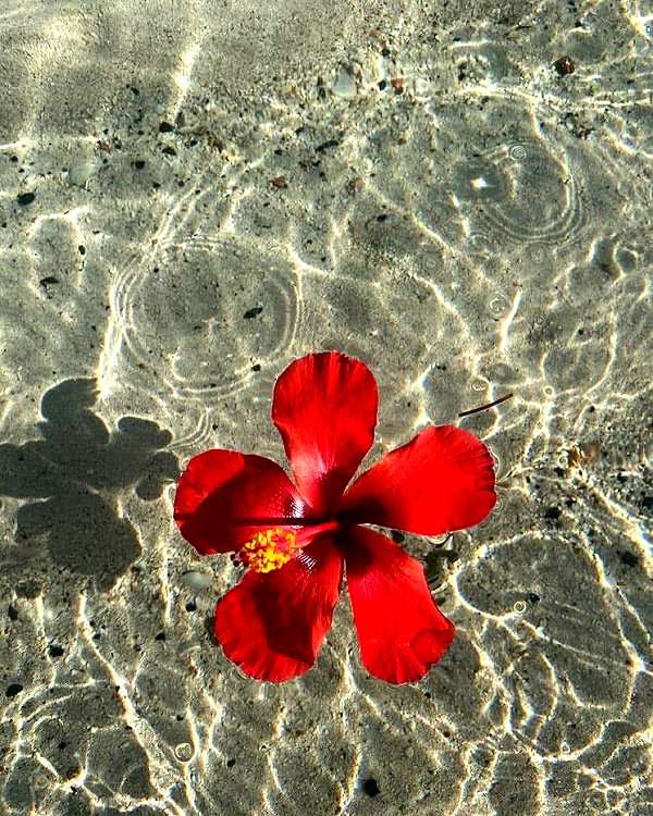 lyhythuedoxinh instagram image archive image