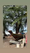 __yaheli_ Altpins Profile Picture