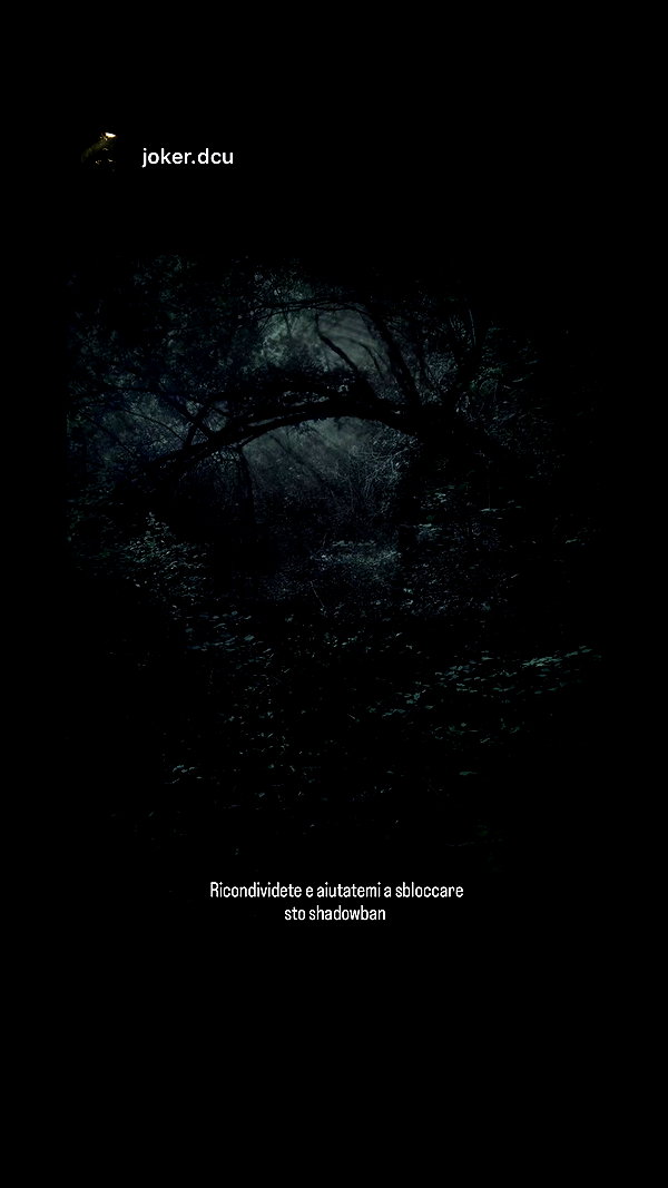 fuckinncutee instagram image archive image