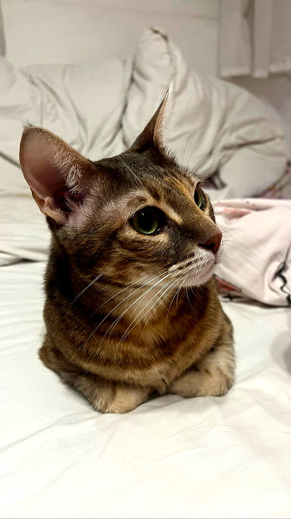 Archived image from @notchicore on Instagram