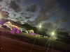 kimberr_0000 Altpins Profile Picture