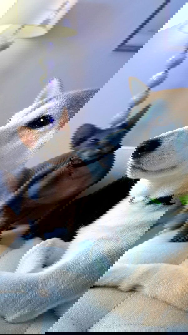 zommmbri zommmbri archive image