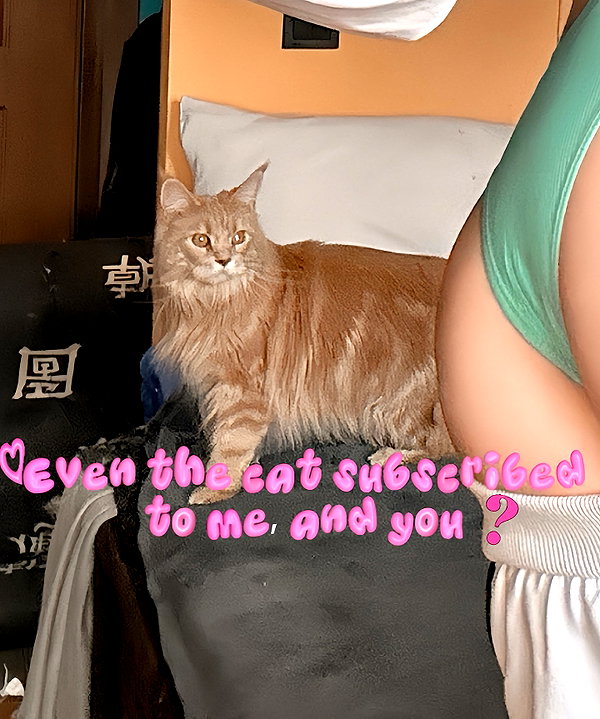 bakabakafuwa instagram image archive image