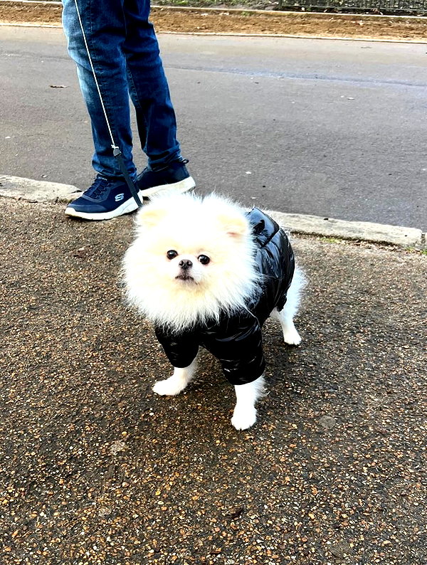 clarissabeaa instagram image archive image