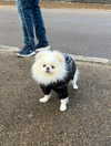clarissabeaa Altpins Profile Picture