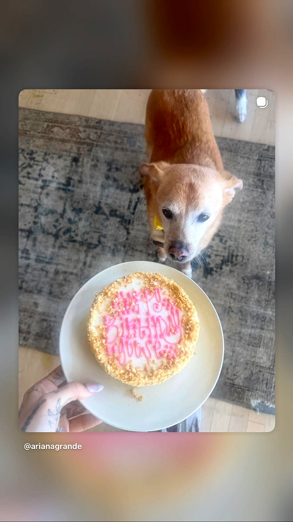 arianagrande instagram image archive image