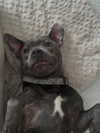 _m_a_y_c_ Altpins Profile Picture