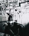 solzarubin_ Altpins Profile Picture